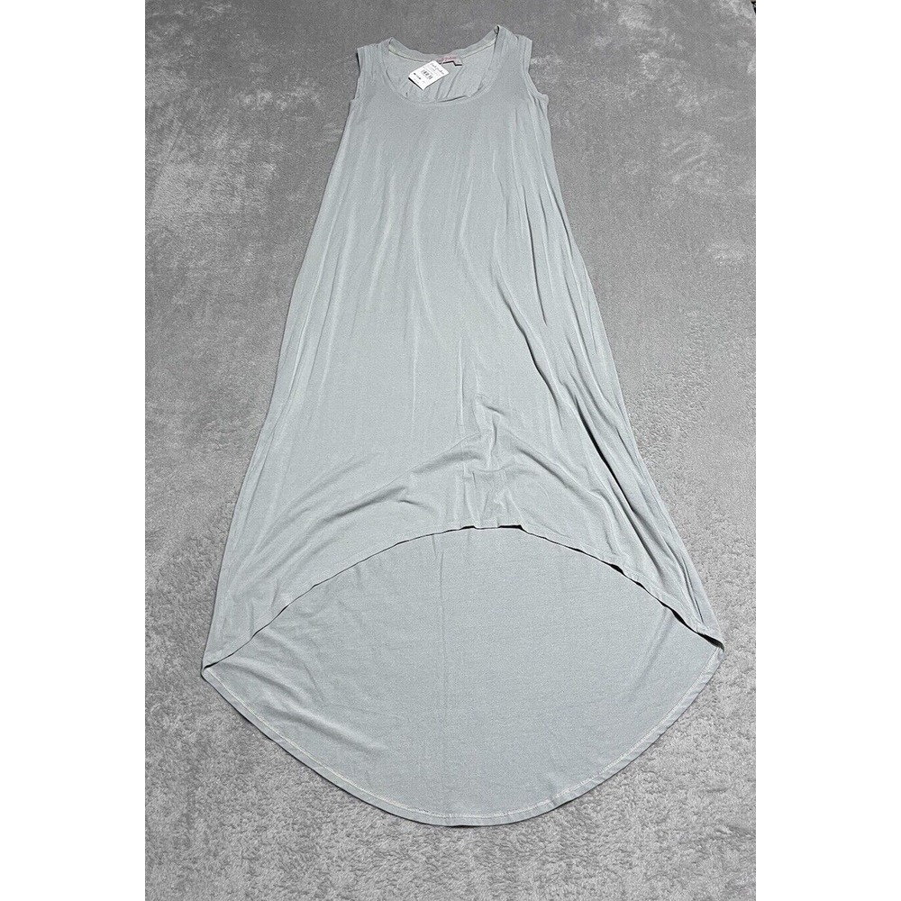 Fresh Produce Gray Maxi Dress